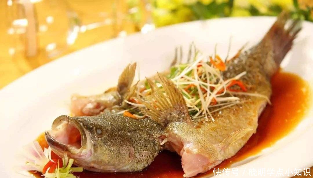 淡水鱸魚_淡水鱸魚和海鱸魚區別_淡水鱸魚為何要少吃