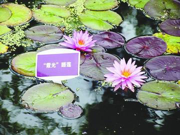 西峪水庫收費嗎_西峪水庫_西峪水庫住宿