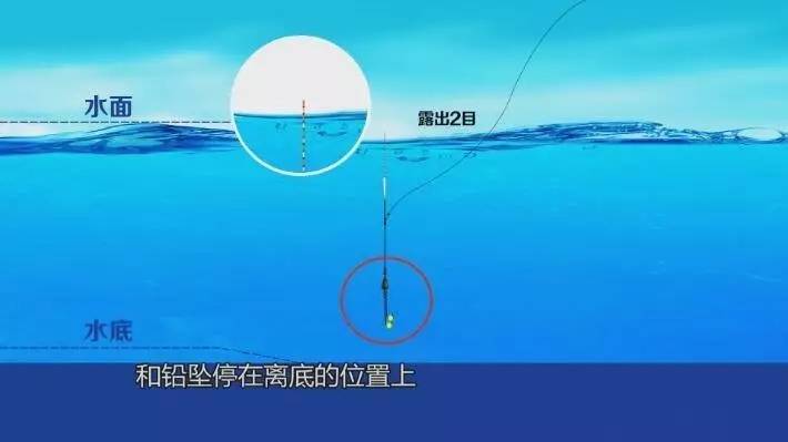 釣魚怎么調漂視頻教程_釣魚如何調漂視頻免費播放_釣魚視頻教程調漂大全