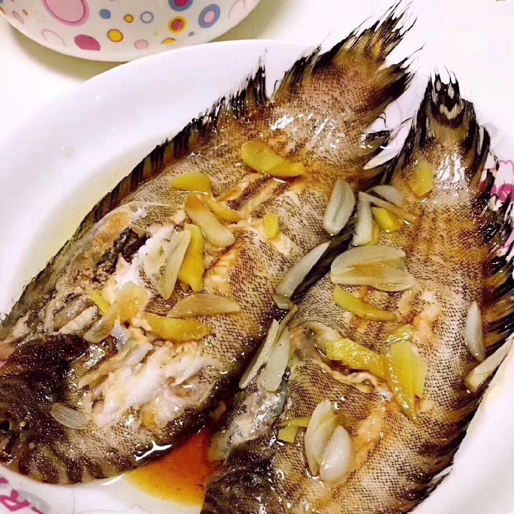 龍利魚是什么魚_龍利魚魚是什么魚_龍利魚俗稱