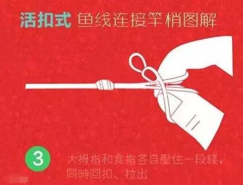 臺釣釣法_臺釣技巧_臺釣方法視頻教程
