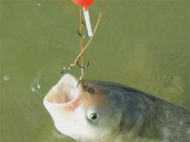 冬季釣魚_釣魚冬季用什么小藥最好_釣魚冬季一般下午幾點好釣