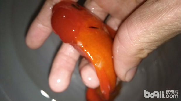 生病的時候可以吃魚嗎_養魚魚生病了_魚生病了怎么辦