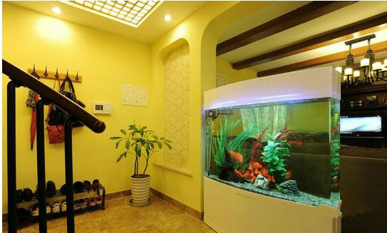 魚缸尺寸 慈世堂：飼養水族箱的風水禁忌有哪些？