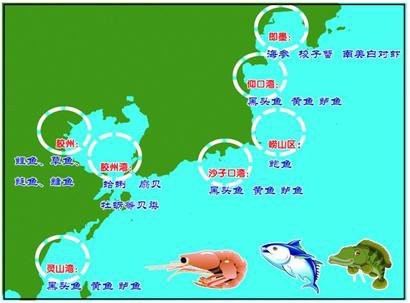 地圖魚不吃食_地圖魚吃魚的視頻_地圖魚吃魚食行不行
