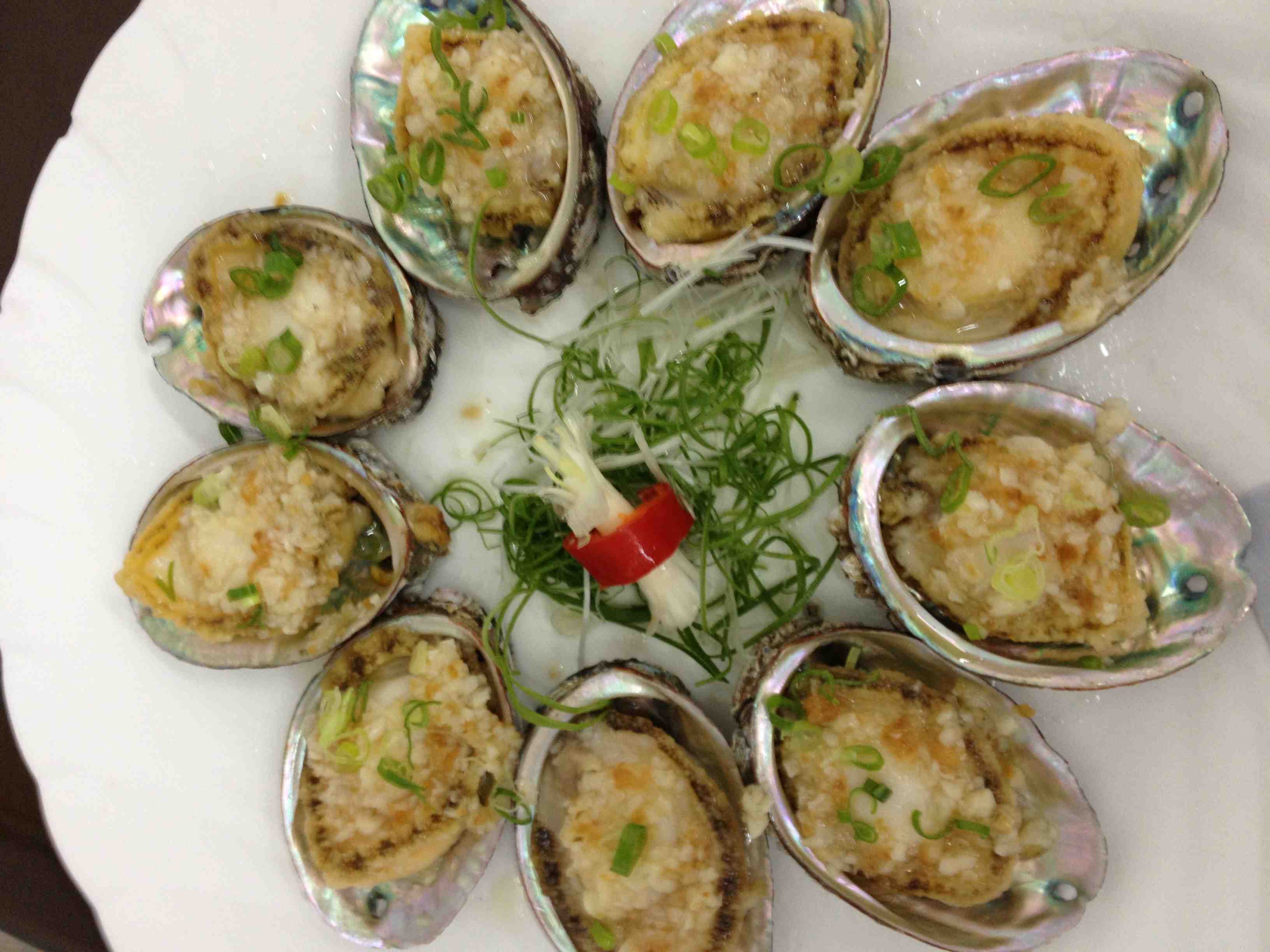 鮑魚的功效與作用，你知道幾種？！！
