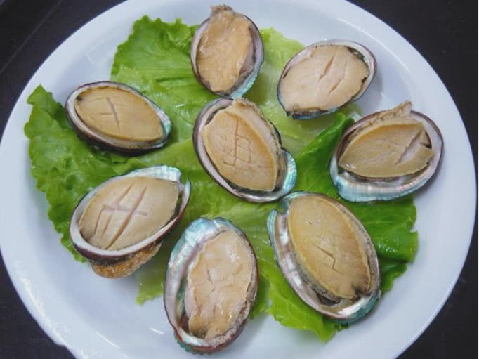 鮑魚怎么做_鮑魚做法清蒸_鮑魚做法家常簡單又好吃