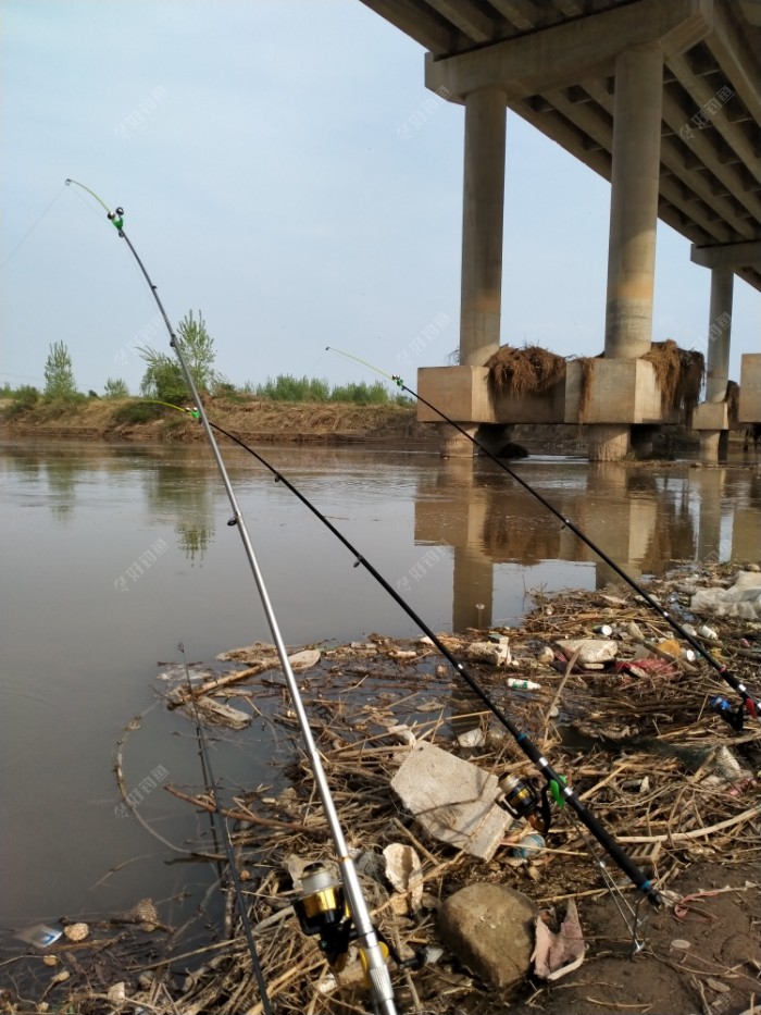 春季釣魚_釣魚春季怎么釣_釣魚春季用什么味型窩料