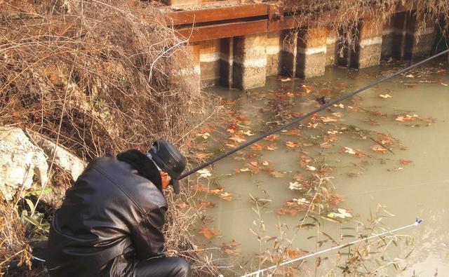 釣魚春季怎么釣_春季釣魚_釣魚春季用什么味型窩料