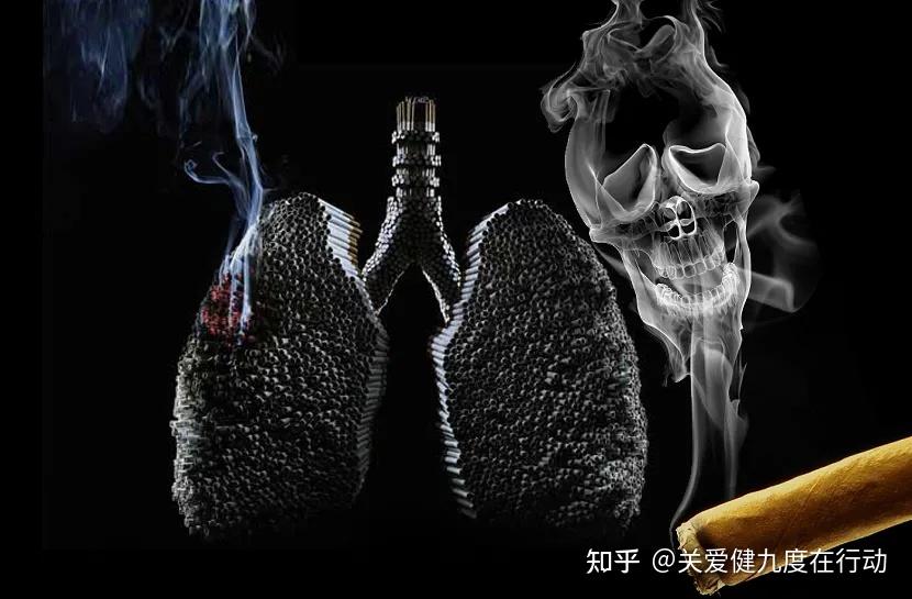 深藏地下不吃不喝好幾年的非洲肺魚，為何沒能躲過人類的挖掘？