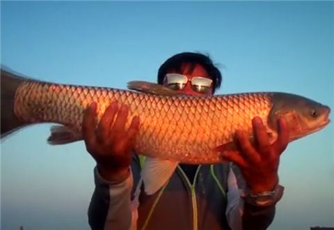 紹興釣魚_紹興釣魚的地方有哪些地方_紹興釣魚