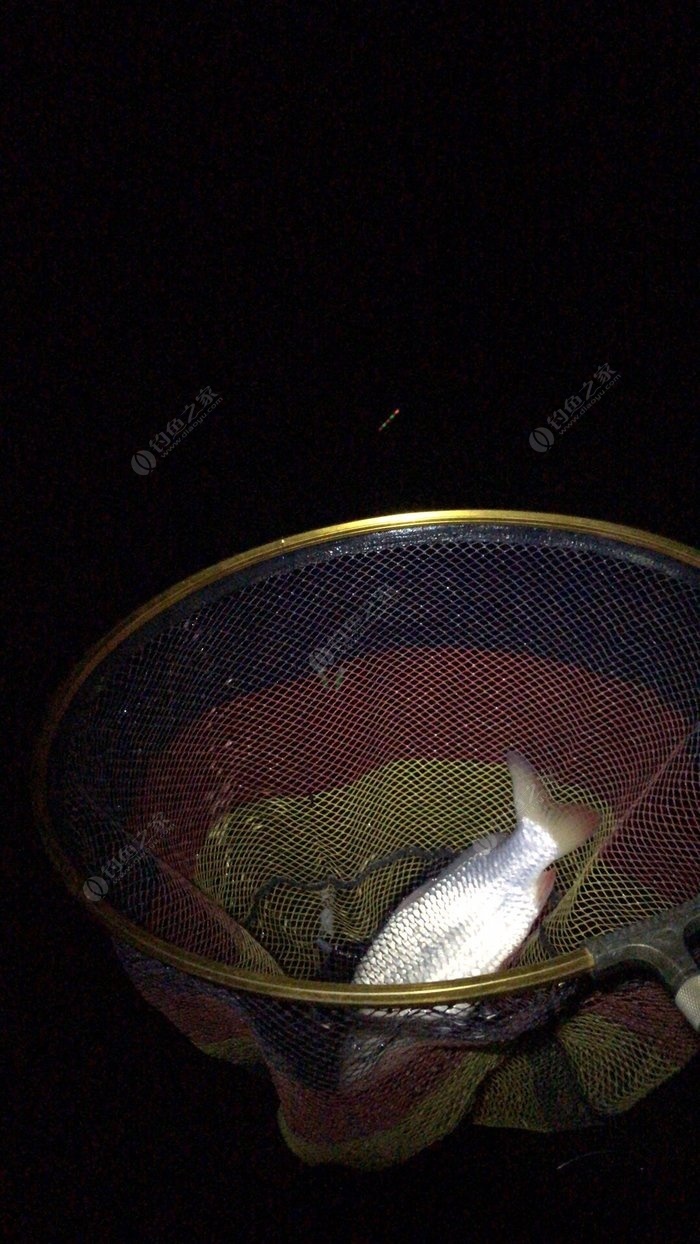 新手釣魚技巧_釣魚新手入門教程_釣魚新手教程