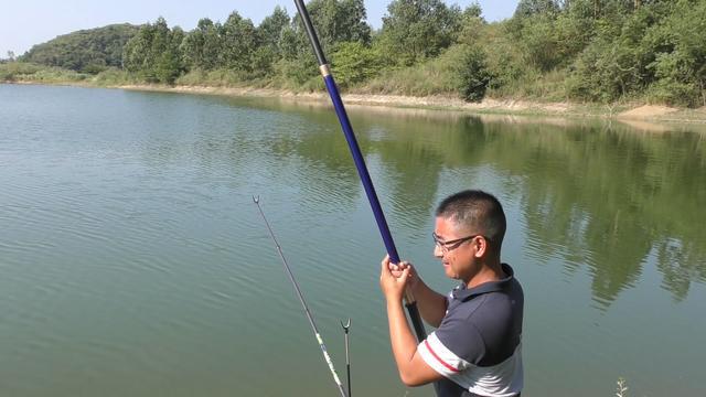 鯪魚和鳊魚有什么區別？與鳊魚一樣嗎？