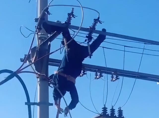 傳說電鰻能電死人，被譽為“水中高壓線”