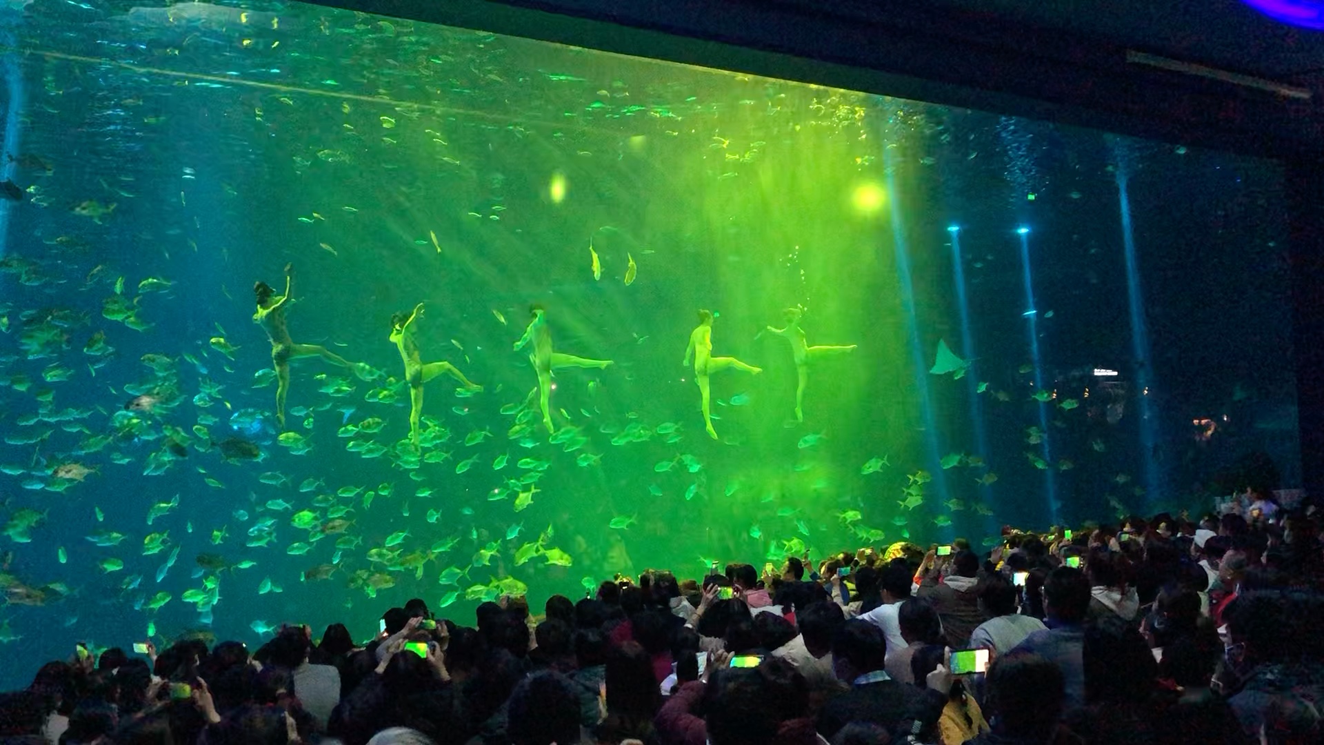 上海海洋水族館的基本情況，這樣才能更好地游覽