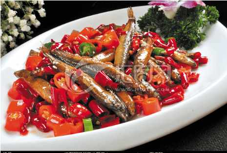 牛尾巴魚叫什么名字_牛尾巴魚學名_牛尾巴魚