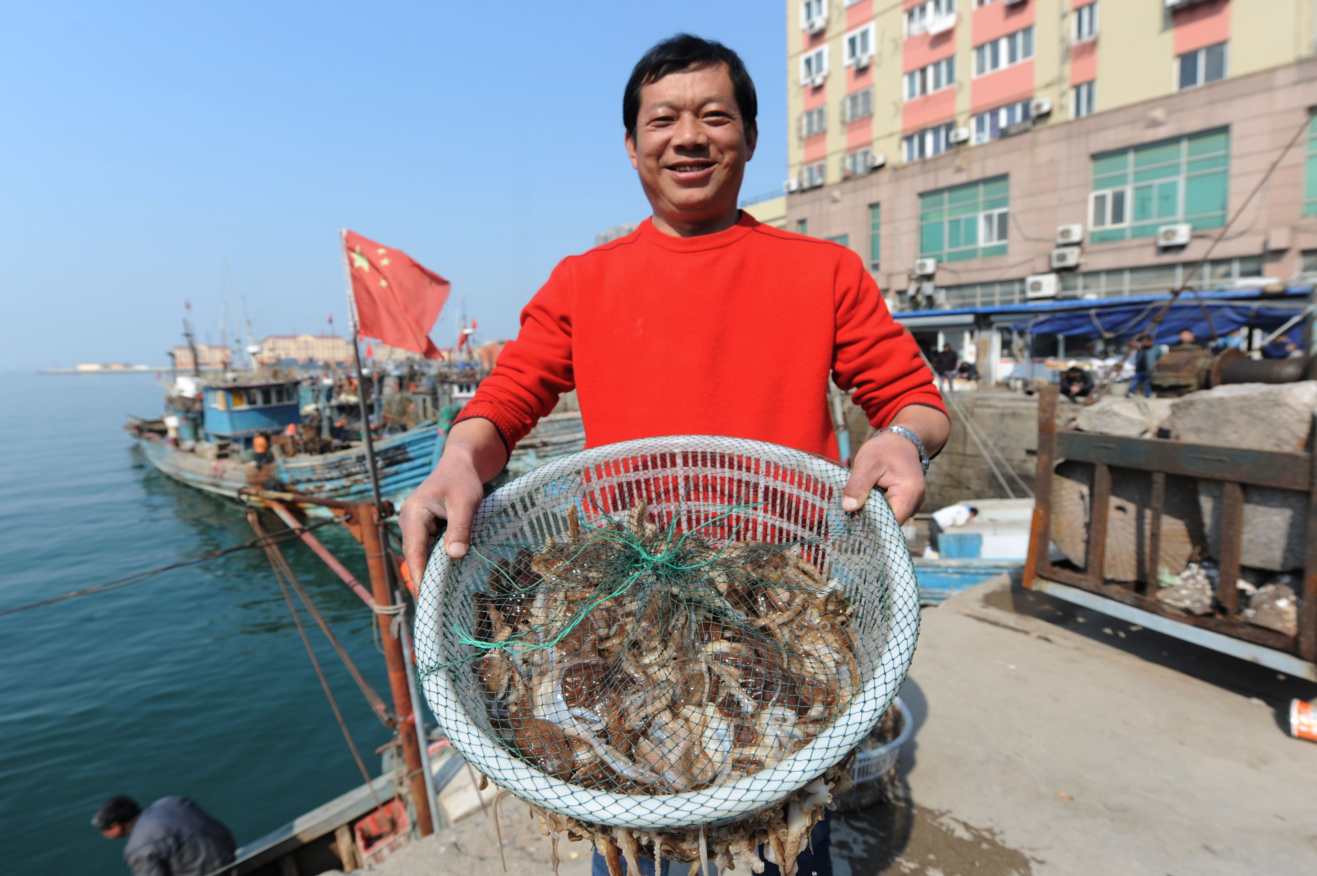 牛尾巴魚_牛尾巴魚別名_牛尾巴魚叫什么名字
