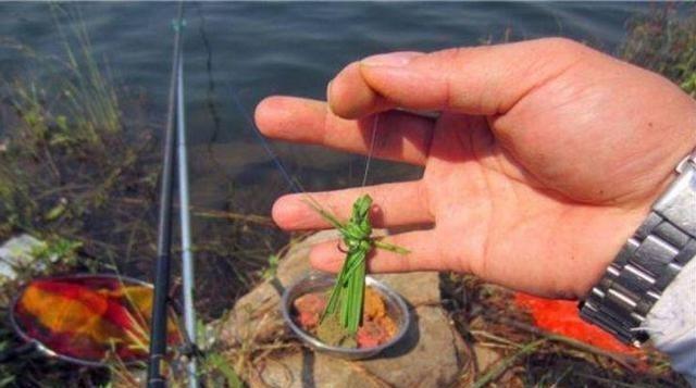釣草魚用餌料_釣草魚魚餌好用嗎_草魚用什么魚餌最好釣