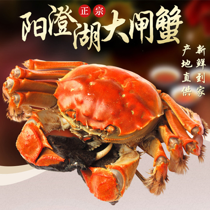 陽澄湖大閘蟹_大閘蟹陽澄湖大閘蟹怎么個做法_大閘蟹陽澄湖幾月份好吃