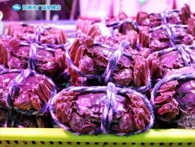 大閘蟹陽澄湖開湖時間_陽澄湖大閘蟹_大閘蟹陽澄湖幾月份好吃