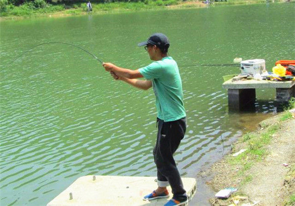 豌豆大作戰釣魚攻略技巧_咸魚之王釣魚攻略技巧_釣魚技巧全攻略