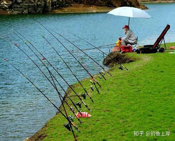 咸魚之王釣魚攻略技巧_豌豆大作戰釣魚攻略技巧_釣魚技巧全攻略