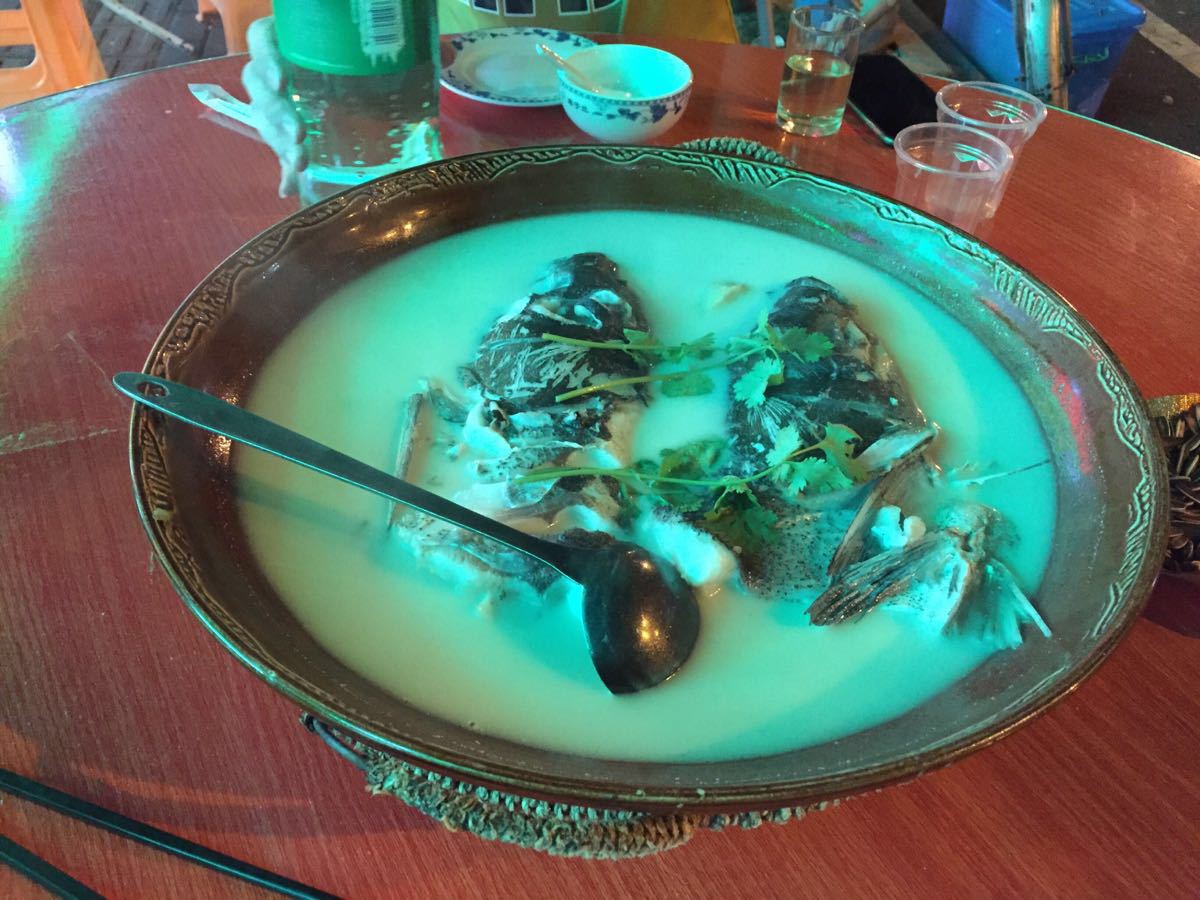 千島湖魚口感怎么樣_千島湖魚_千島湖魚