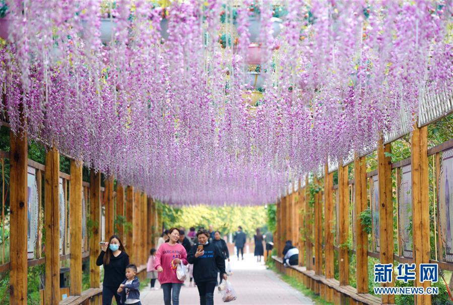 紅蟲養殖 福州東繞城高速公路征地紅線范圍內拆除違規養殖場