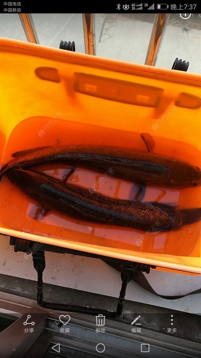 各種魚的生活特點_魚的生活習性_魚生活條件