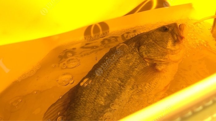 鱸魚鉤子怎么綁_鱸魚鉤怎么綁圖解_怎么綁鱸魚鉤