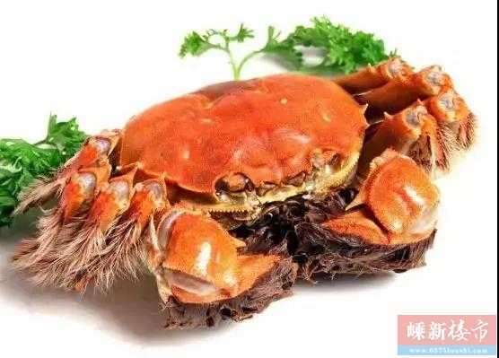 海蟹的種類_海蟹品種有哪些品種_海蟹種類名稱圖解