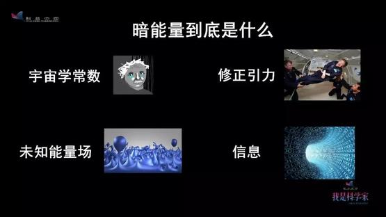 鰱魚效應案例_鰱魚效應的由來_鰱魚效應