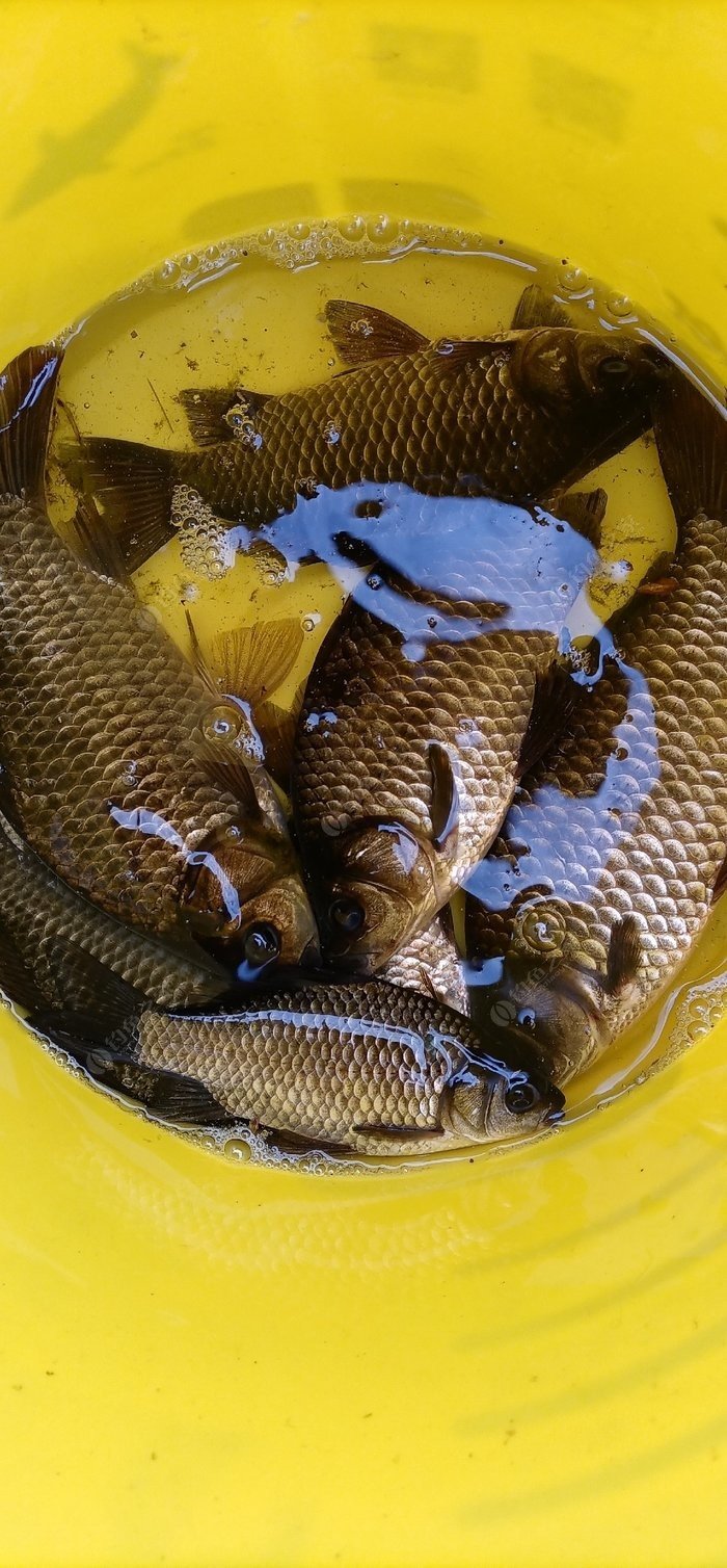浮游磯釣教學視頻_浮游磯釣_浮游磯釣是什么意思
