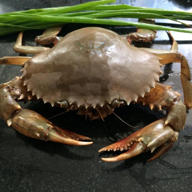 黃河口大閘蟹_黃河口大閘蟹價格_黃河口大閘蟹多少錢一只