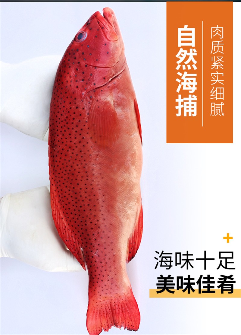 馬鮫魚塊的做法_馬鮫魚作用_馬鮫魚多少錢一斤