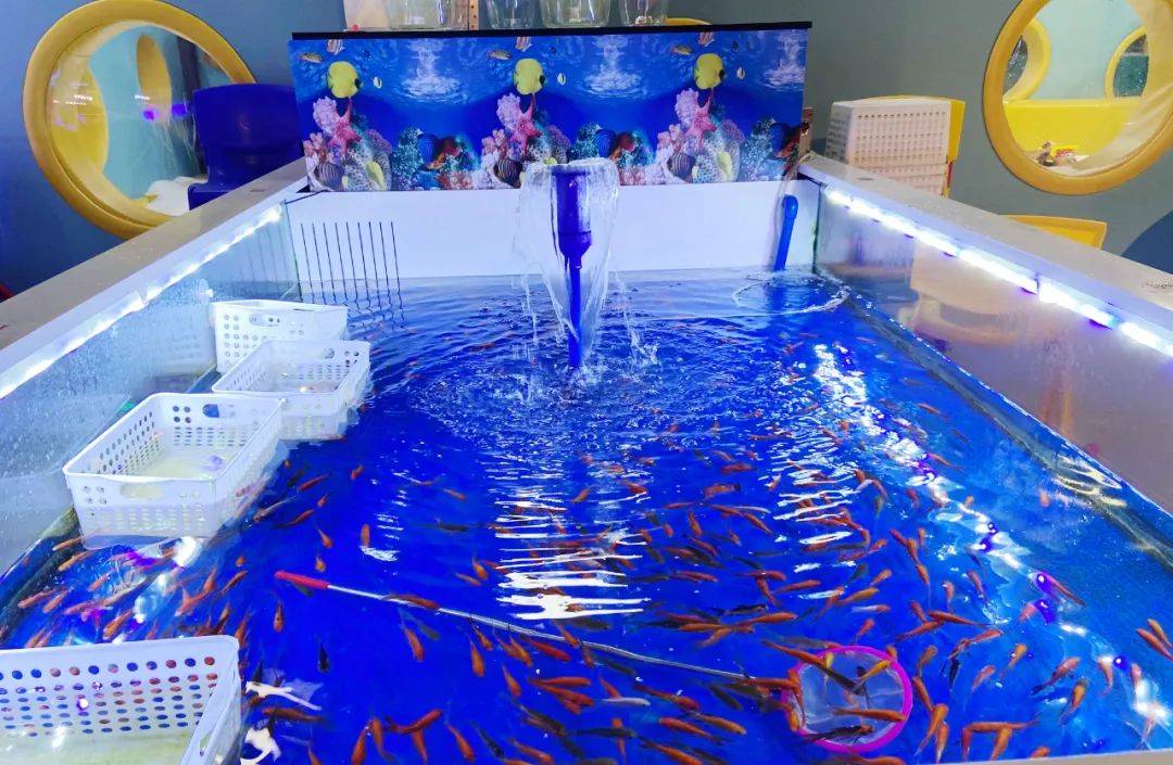 原神魚餌配方怎么獲得配方獲取攻略，魚餌攻略