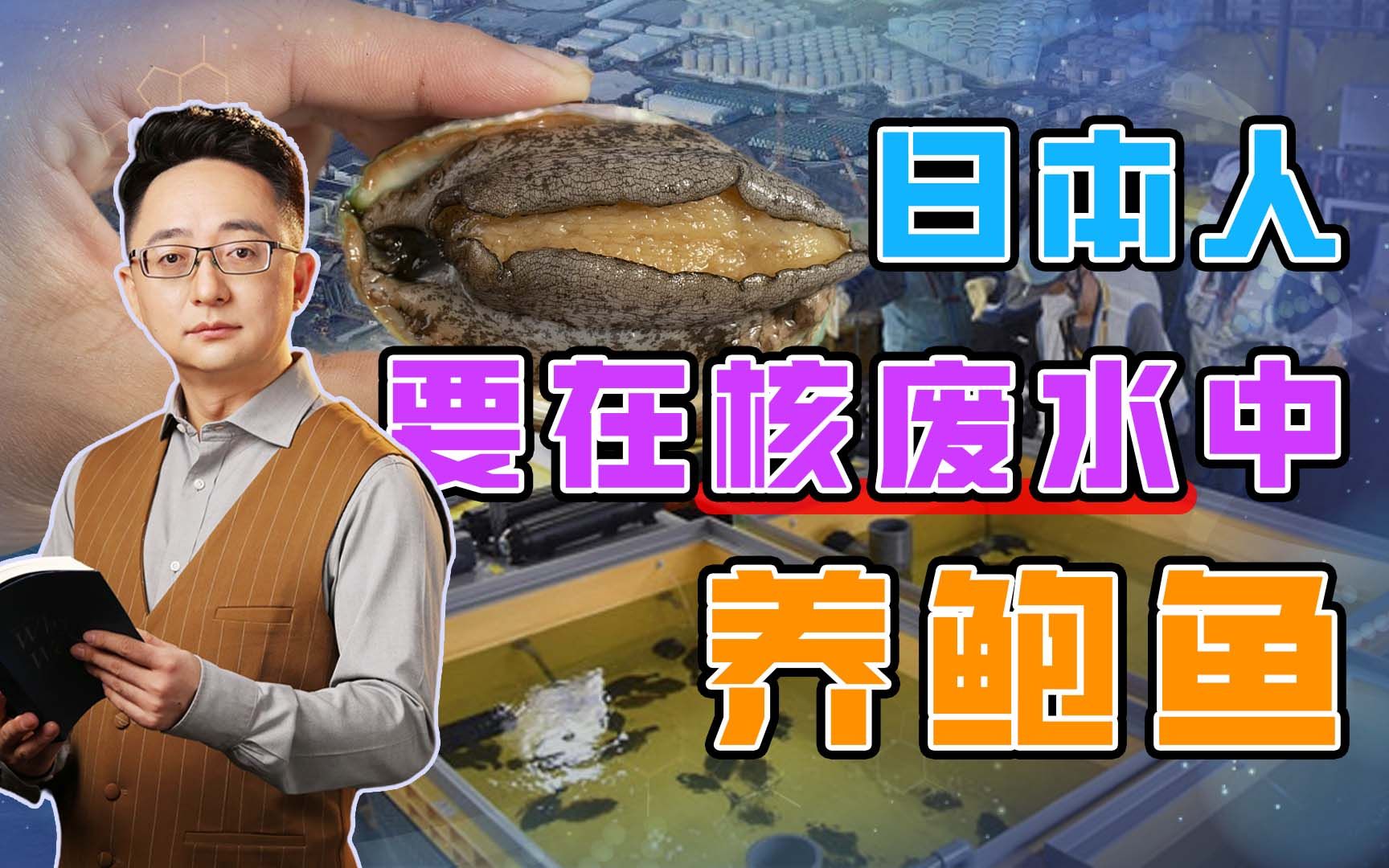 雞湯燉鮑魚營養價值_鮑魚營養價值和功效與作用_鮑魚的營養價值