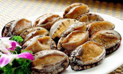 鮑魚營養價值高_鮑魚的營養價值_雞湯燉鮑魚營養價值