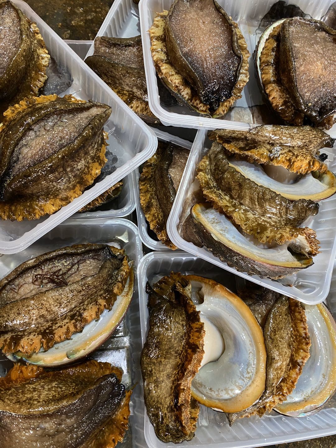 鮑魚營養價值高_鮑魚的營養價值_鮑魚營養價值高不高