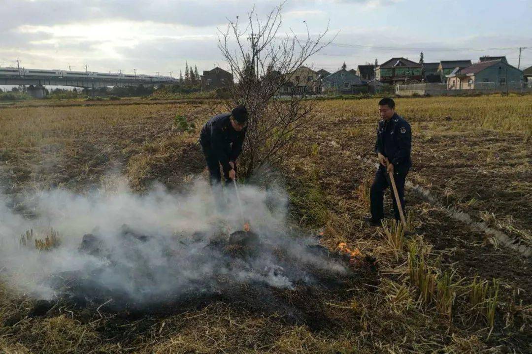 釣魚執法什么意思啊_釣魚執法叫什么_什么叫釣魚執法