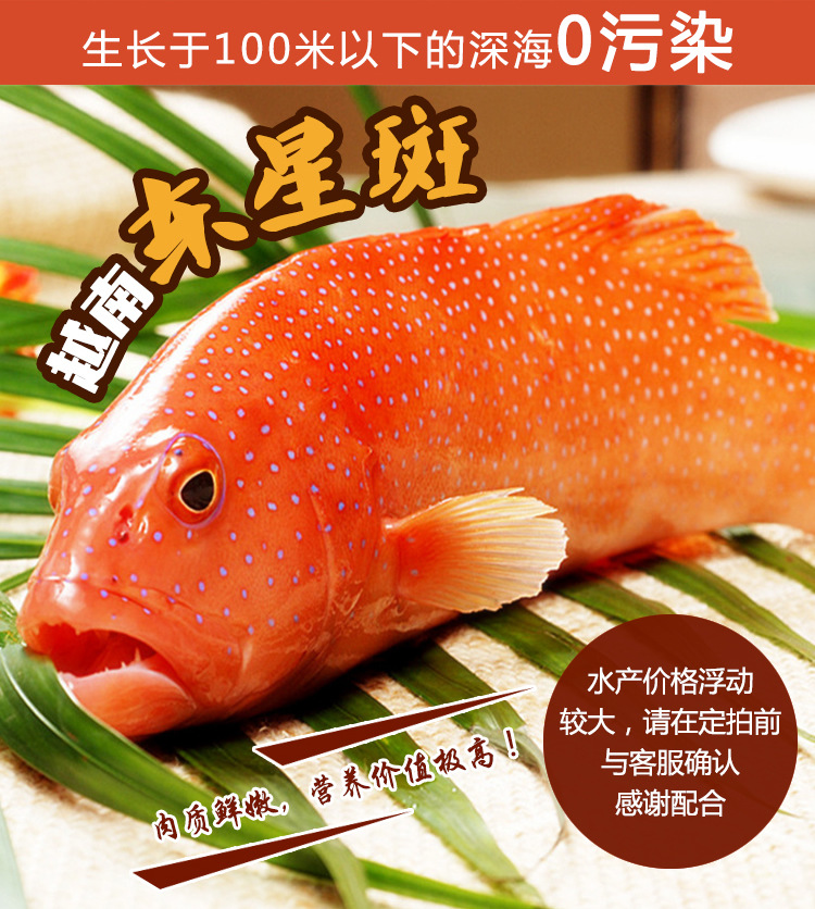 紅斑魚多少錢一斤？和東星斑的區別在哪？