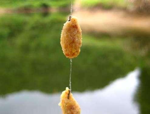 鳊魚圖片_鳊魚_鳊魚怎么做好吃