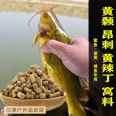 鳊魚紅燒_鳊魚_鳊魚怎么做好吃