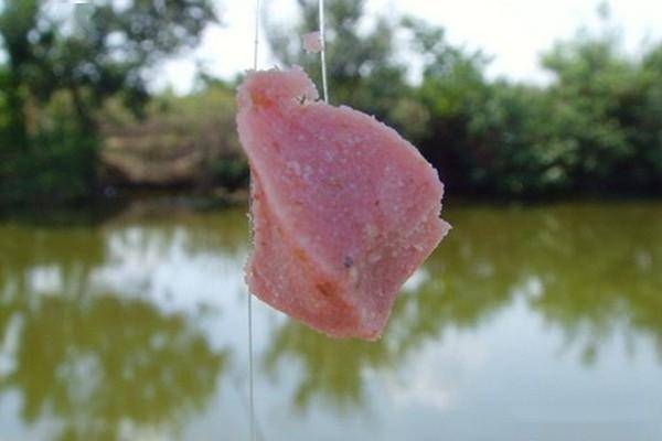 （釣魚技巧）渾水垂釣有啥好處，你知道嗎？