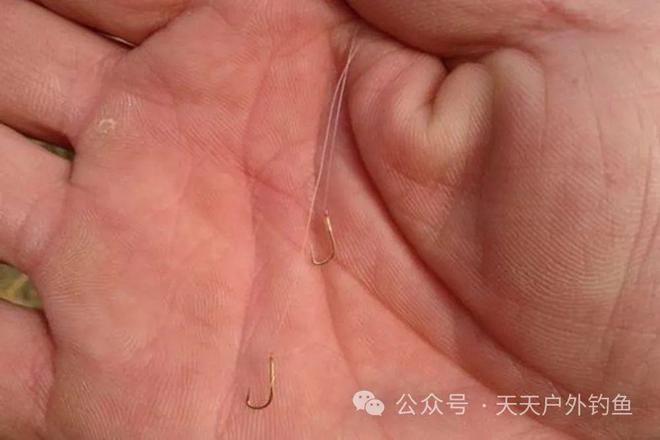 釣魚渾水用什么餌最好_釣魚渾水和清水該怎么釣_渾水釣魚
