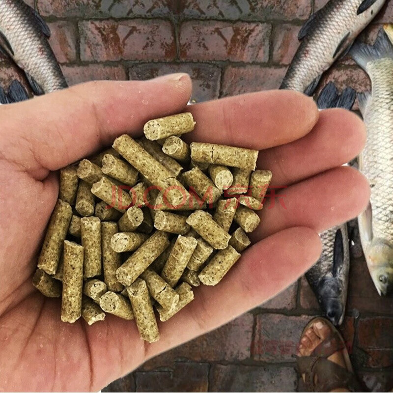 釣魚渾水和清水該怎么釣_釣魚渾水怎么釣_渾水釣魚