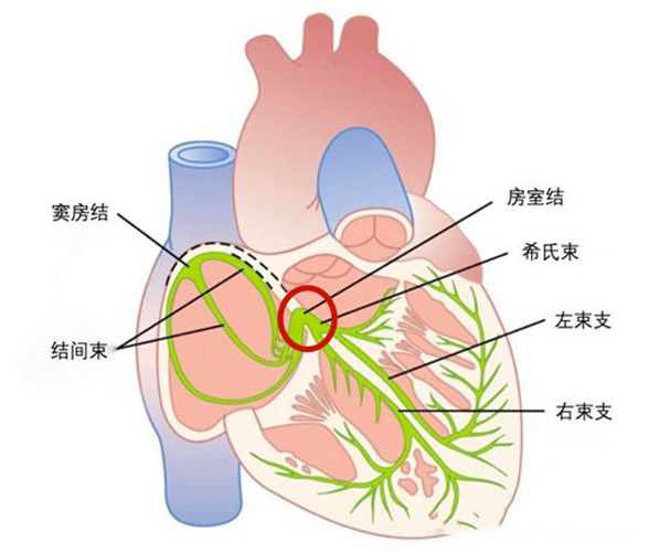 四平貼吧 市政府督查室深入3個小區9戶居民家中走訪并實時測量室內溫度