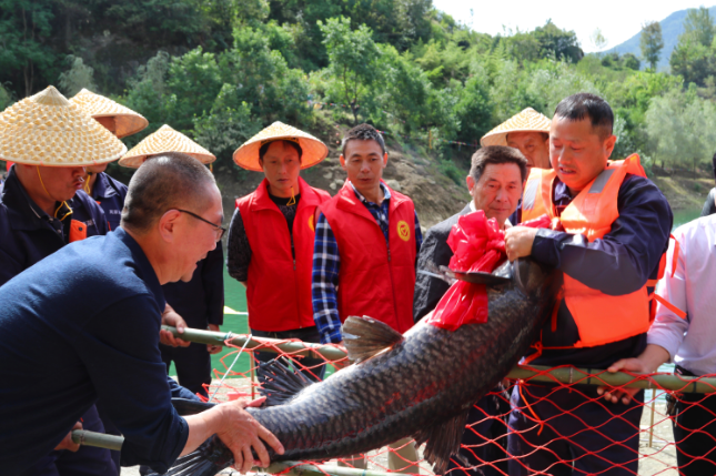 渾水釣魚 穆棱河不采（沙）的地步怎么辦？