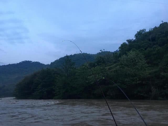 釣魚渾水和清水該怎么釣_渾水釣魚_釣魚渾水用什么餌最好
