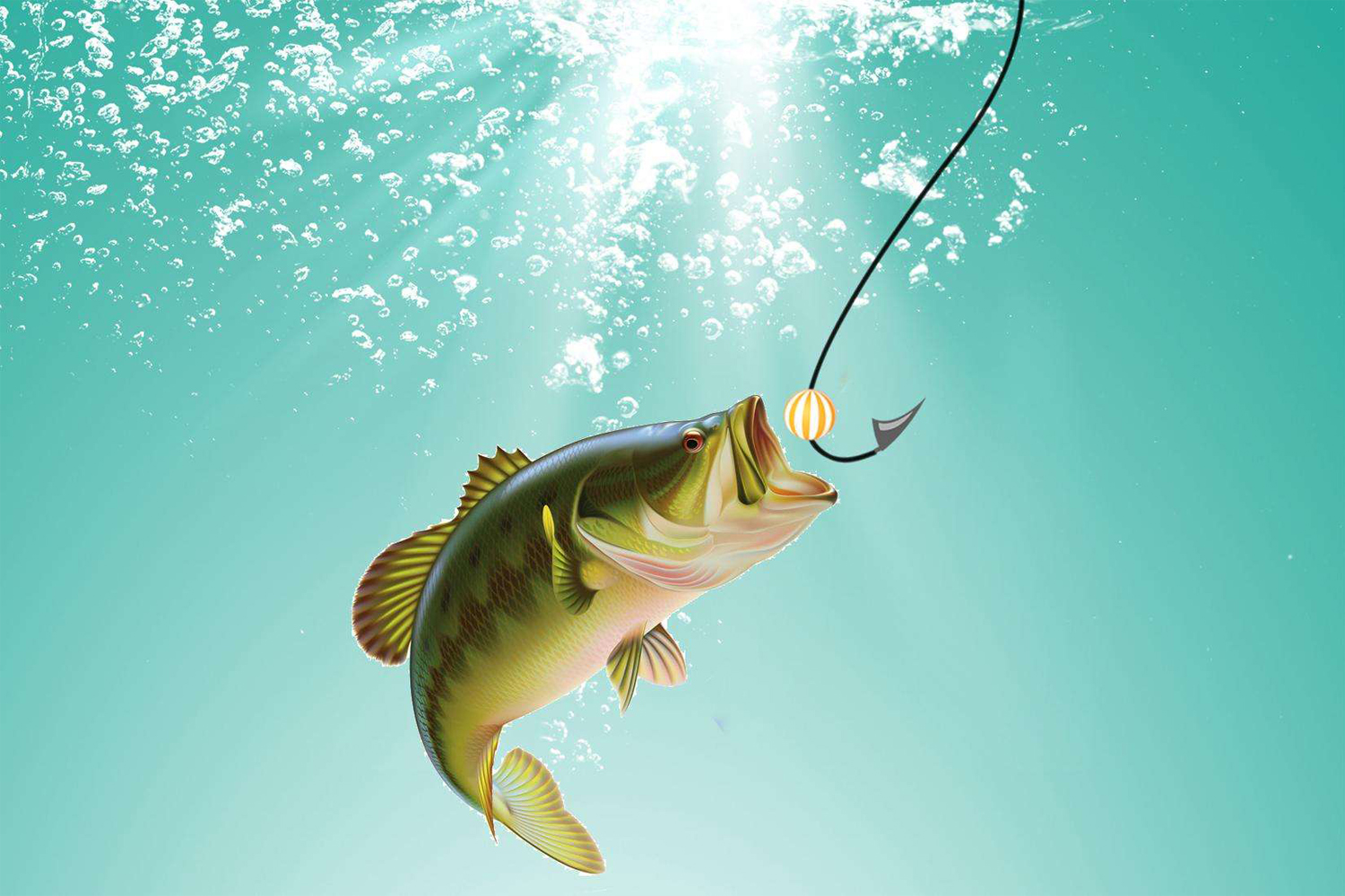釣魚渾水怎么釣_渾水釣魚_釣魚渾水用什么餌最好